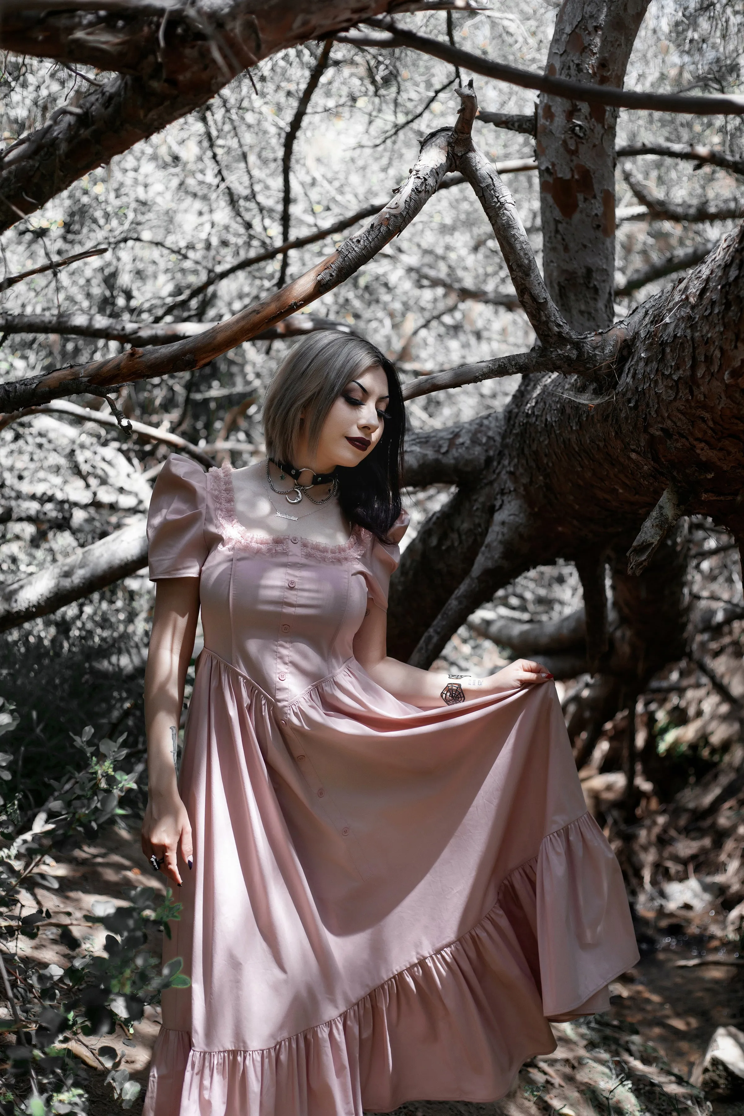 La Vie En Rose Dress