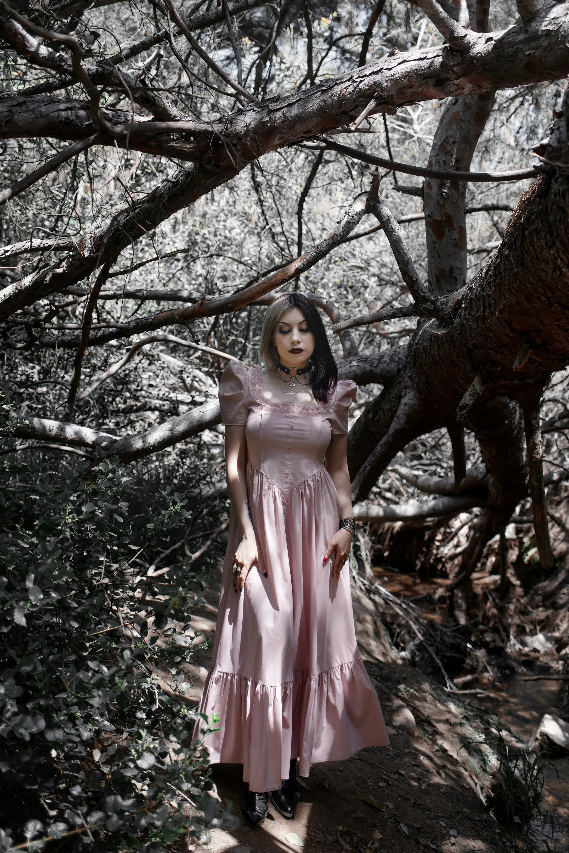 La Vie En Rose Dress