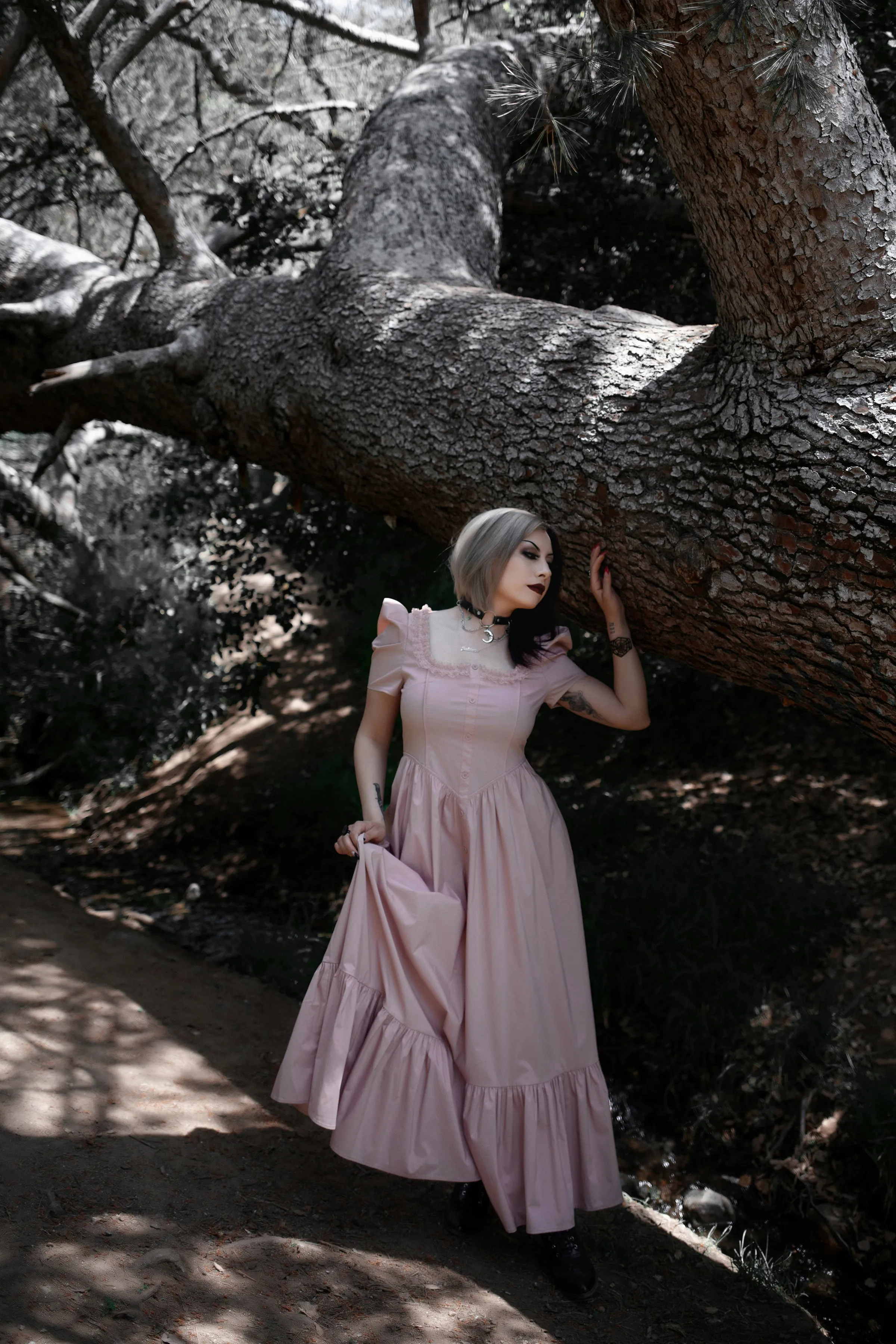 La Vie En Rose Dress