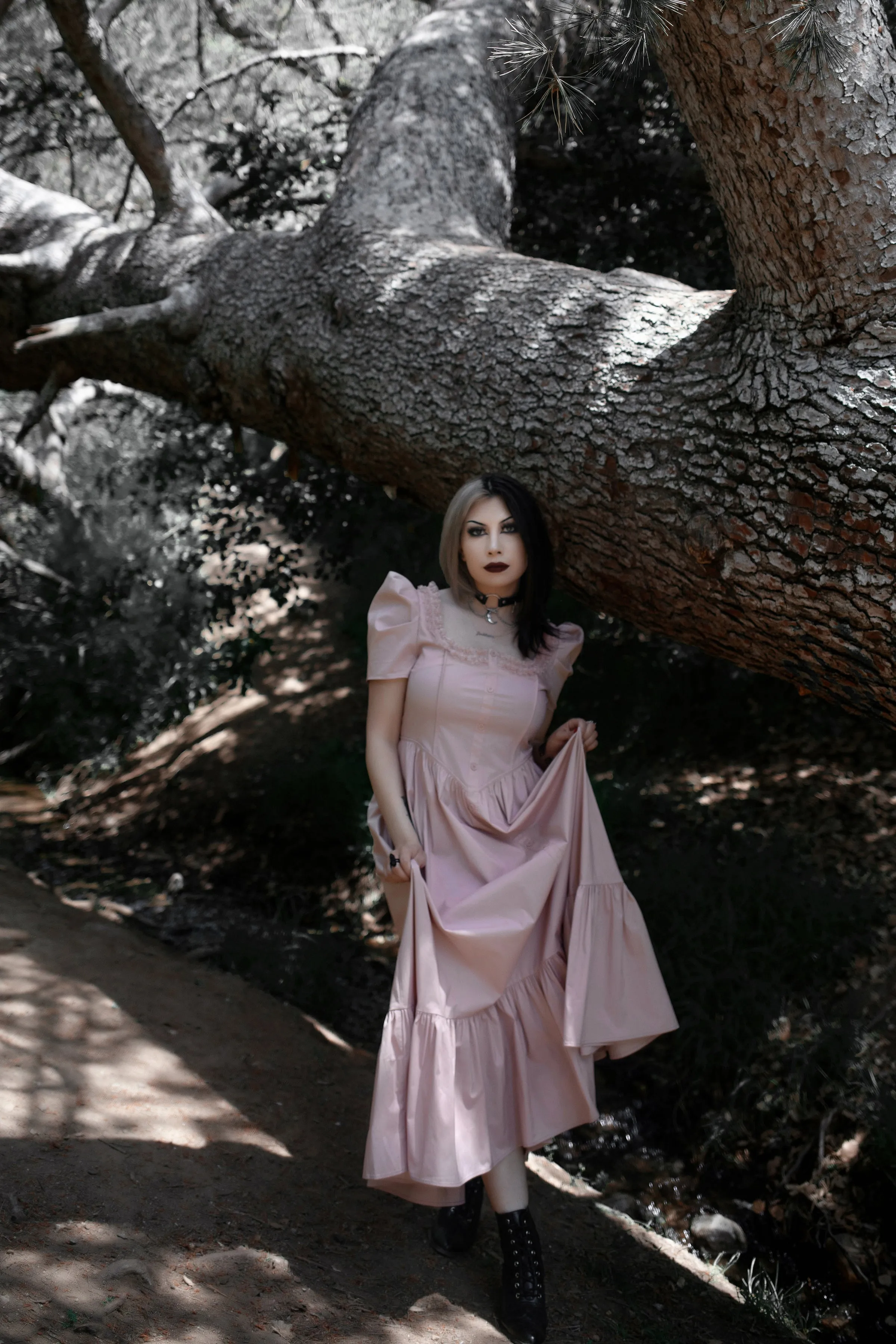 La Vie En Rose Dress