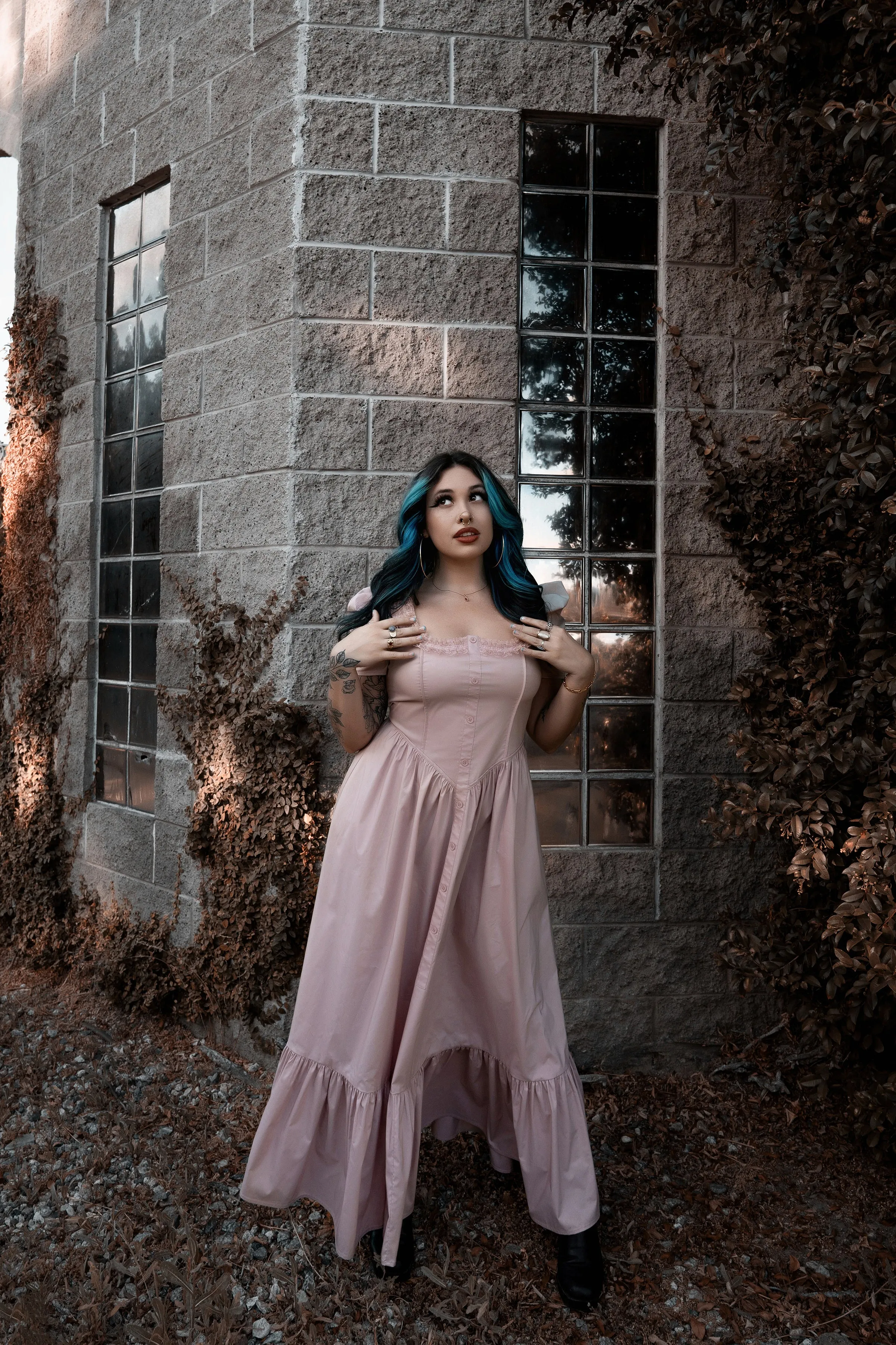 La Vie En Rose Dress